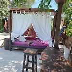 Couples Amoureux Gde Propriete 4000m2 Avec 2 Maisons Independantes Grande Piscine Privee Clim * Combas (Gard)