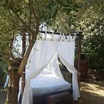 Couples Amoureux Gde Propriete 4000m2 Avec 2 Maisons Independantes Grande Piscine Privee Clim Combas (Gard)