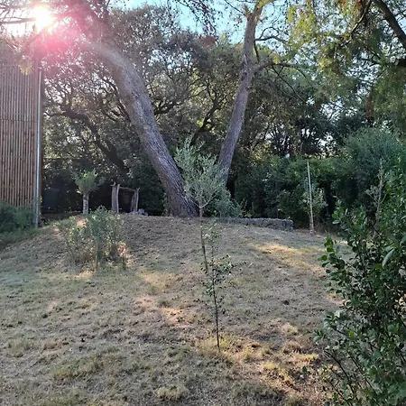 Vila Couples Amoureux Propriete 4000m2 Cabane-maison Ecolo Piscine Privee Clim Terrasse Dans Les Arbres Combas (Gard)