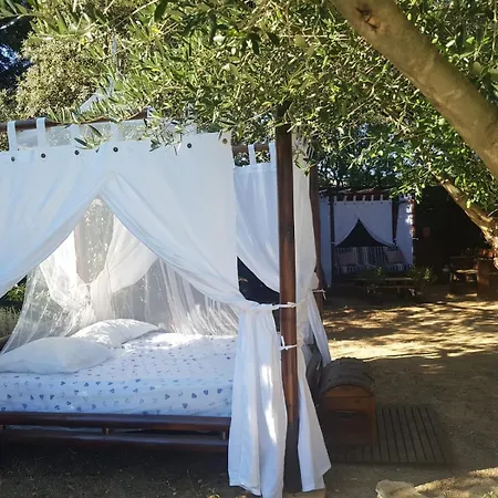Villa Couples Amoureux Propriete 4000m2 Cabane-maison Ecolo Piscine Privee Clim Terrasse Dans Les Arbres