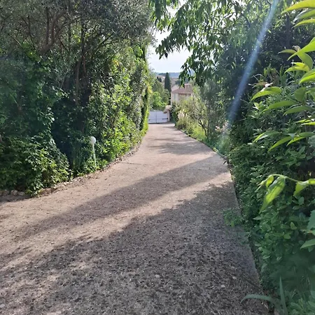 Couples Amoureux Propriete 4000m2 Cabane-maison Ecolo Piscine Privee Clim Terrasse Dans Les Arbres