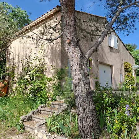 Vila Couples Amoureux Propriete 4000m2 Cabane-maison Ecolo Piscine Privee Clim Terrasse Dans Les Arbres