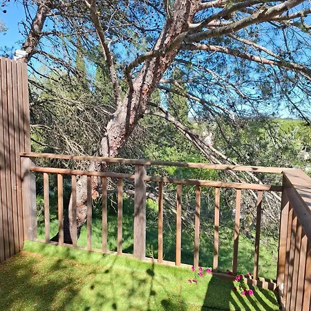 Villa Couples Amoureux Propriete 4000m2 Cabane-maison Ecolo Piscine Privee Clim Terrasse Dans Les Arbres Combas (Gard)