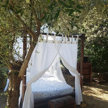 Couples Amoureux Gde Propriete 4000m2 Avec 2 Maisons Independantes Grande Piscine Privee Clim Combas (Gard)