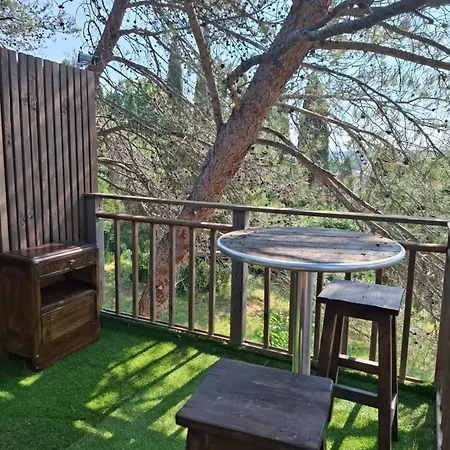 Couples Amoureux Propriete 4000m2 Cabane-maison Ecolo Piscine Privee Clim Terrasse Dans Les Arbres