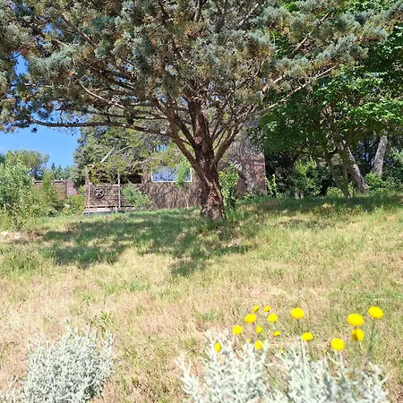 Couples Amoureux Propriete 4000m2 Cabane-maison Ecolo Piscine Privee Clim Terrasse Dans Les Arbres